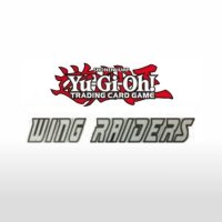Wing Raiders (WIRA)
