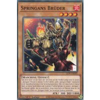 Springans Brüder LIOV-DE005