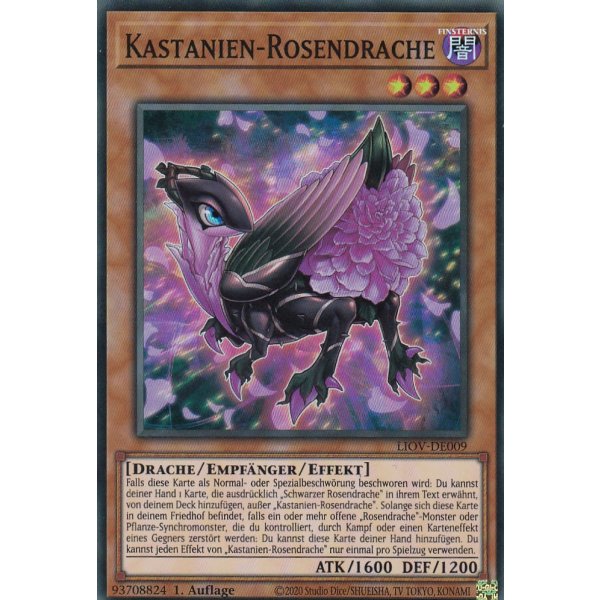 Kastanien-Rosendrache LIOV-DE009