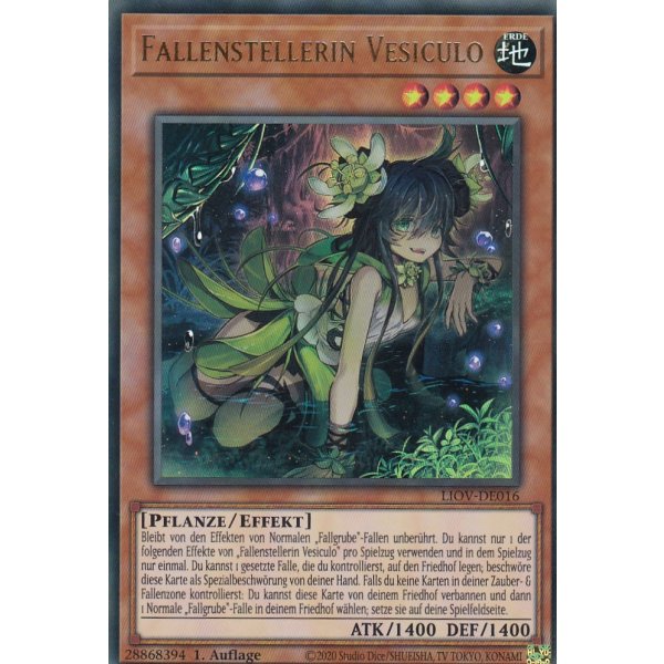 Fallenstellerin Vesiculo LIOV-DE016