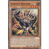 Schrott-Raptor LIOV-DE021