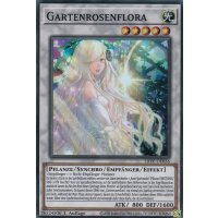 Gartenrosenflora LIOV-DE036