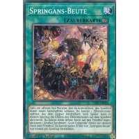 Springans-Beute LIOV-DE054