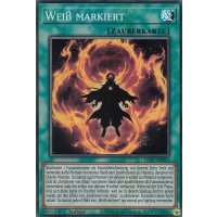 Weiß Markiert LIOV-DE055