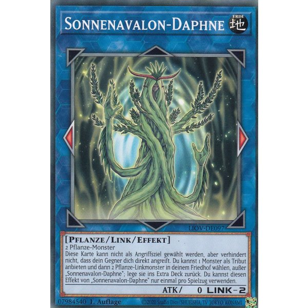 Sonnenavalon-Daphne LIOV-DE097