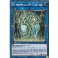 Sonnenavalon-Daphne LIOV-DE097