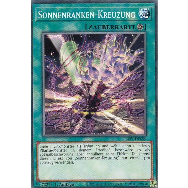 Sonnenranken-Kreuzung LIOV-DE099