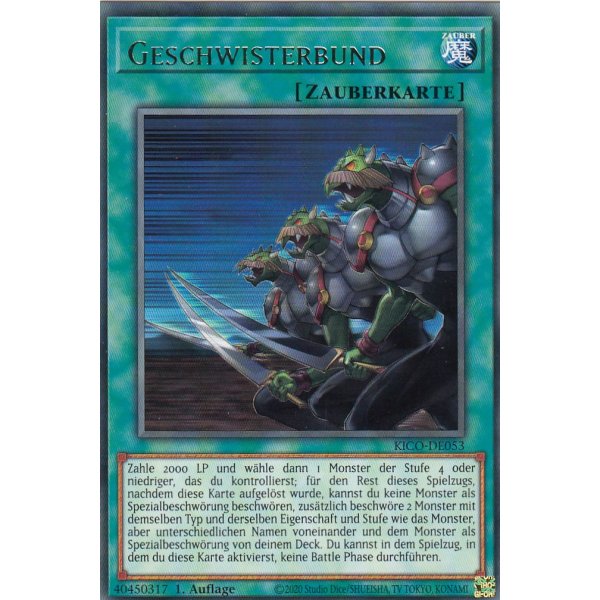 Geschwisterbund KICO-DE053