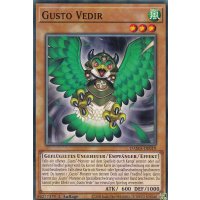 Gusto Vedir DAMA-DE019