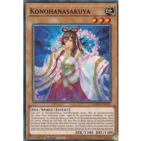 Konohanasakuya DAMA-DE027