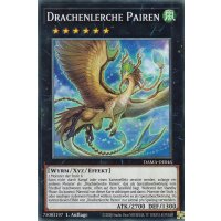 Drachenlerche Pairen DAMA-DE046