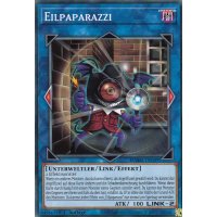 Eilpaparazzi DAMA-DE049