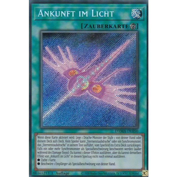 Ankunft im Licht DAMA-DE050