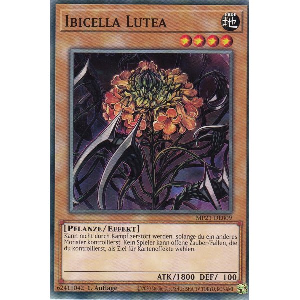 Ibicella Lutea MP21-DE009