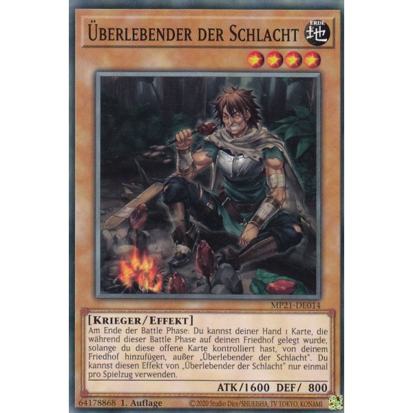 &Uuml;berlebender der Schlacht MP21-DE014