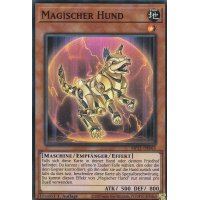 Magischer Hund MP21-DE063