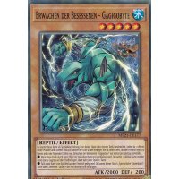 Erwachen der Besessenen - Gagigobyte MP21-DE177