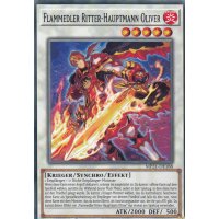 Flammedler Ritter-Hauptmann Oliver MP21-DE188