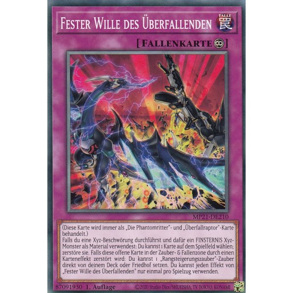 Fester Wille des &Uuml;berfallenden MP21-DE210