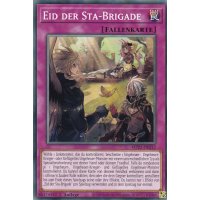 Eid der Sta-Brigade MP21-DE213