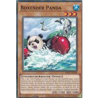 Boxender Panda
