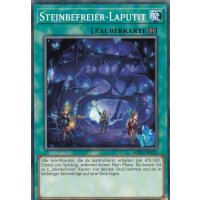 Steinbefreier-Laputit MP21-DE233