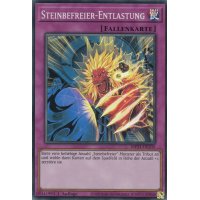 Steinbefreier-Entlastung MP21-DE235