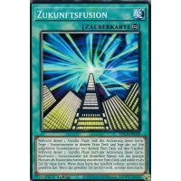 Zukunftsfusion SDCS-DE029