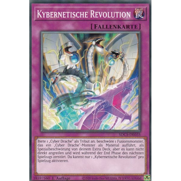 Kybernetische Revolution SDCS-DE035