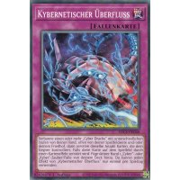 Kybernetischer &Uuml;berfluss SDCS-DE040