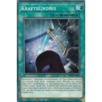 Kraftb&uuml;ndnis SDCS-DE047