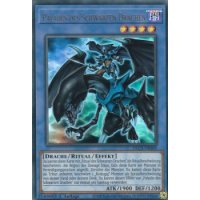 Paladin des Schwarzen Drachen DLCS-DE069