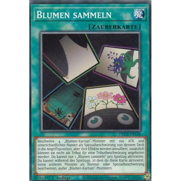 Blumen sammeln DLCS-DE136