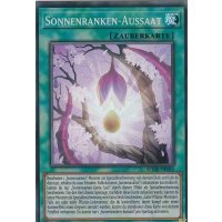 Sonnenranken-Aussaat BODE-DE065