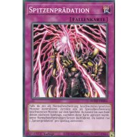 Spitzenpr&auml;dation BODE-DE084