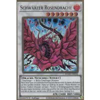 Schwarzer Rosendrache MGED-DE026
