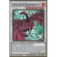 Schwarzer Rosendrache (alternate art) MGED-DE026alt