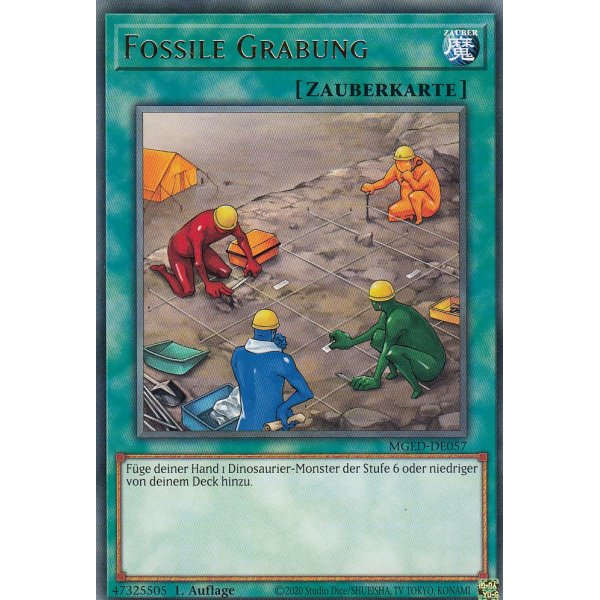 Fossile Grabung MGED-DE057