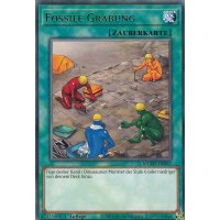 Fossile Grabung MGED-DE057