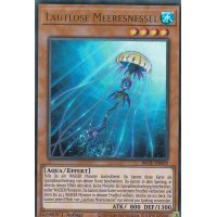 Lautlose Meeresnessel BROL-DE029