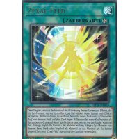 Zexal-Feld BROL-DE054