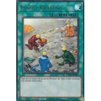 Fossile Grabung BROL-DE089