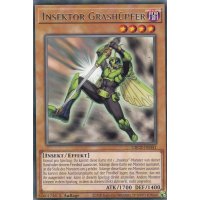 Insektor Grashüpfer GRCR-DE041