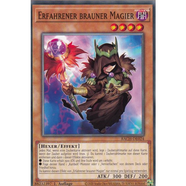Erfahrener brauner Magier BACH-DE024