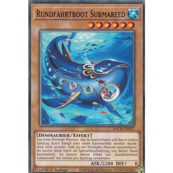 Rundfahrtboot Submareed BACH-DE027