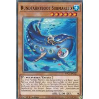 Rundfahrtboot Submareed BACH-DE027