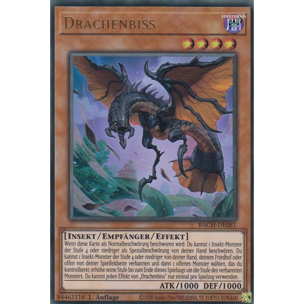 Drachenbiss BACH-DE081