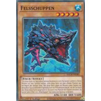 Felsschuppen BACH-DE083