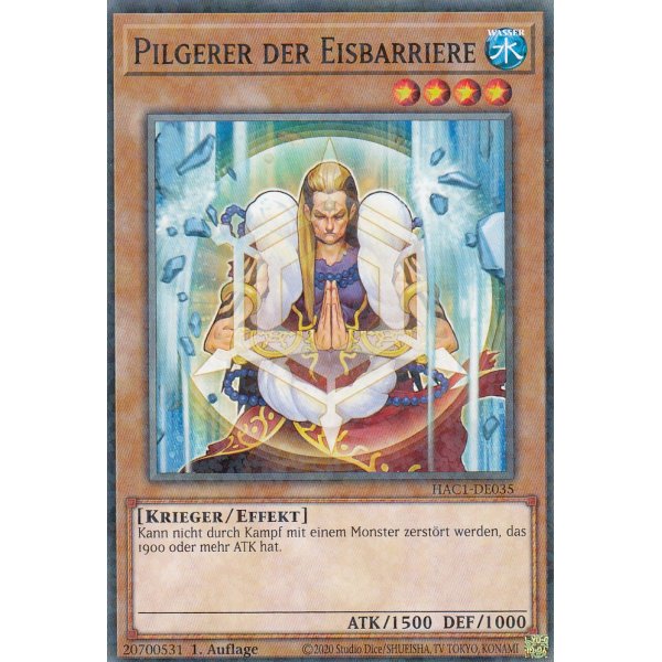 Pilgerer der Eisbarriere HAC1-DE035