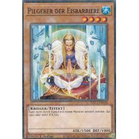 Pilgerer der Eisbarriere HAC1-DE035